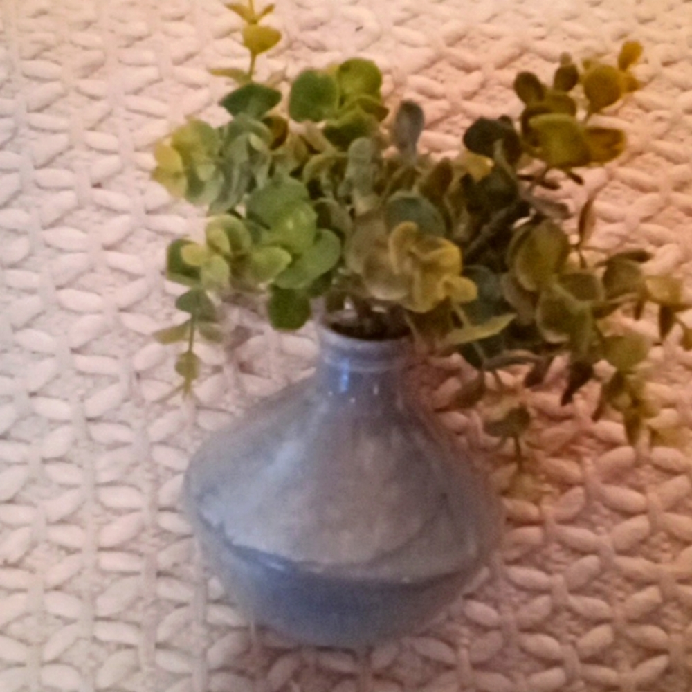 Vase with plants